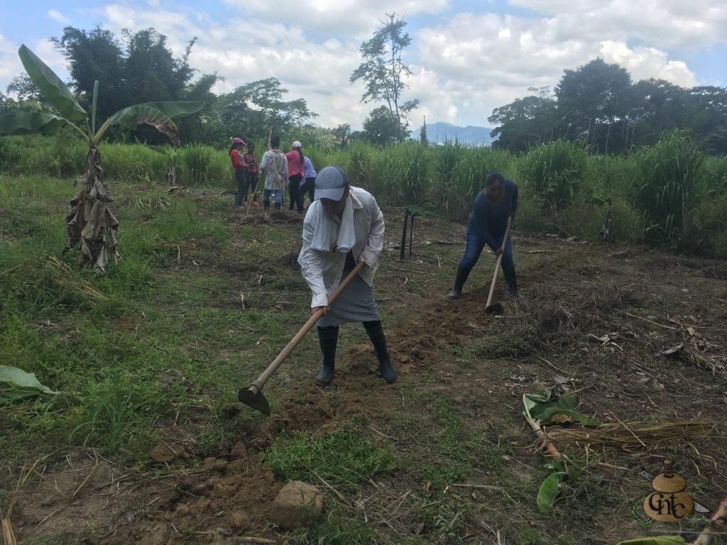 Agroecología