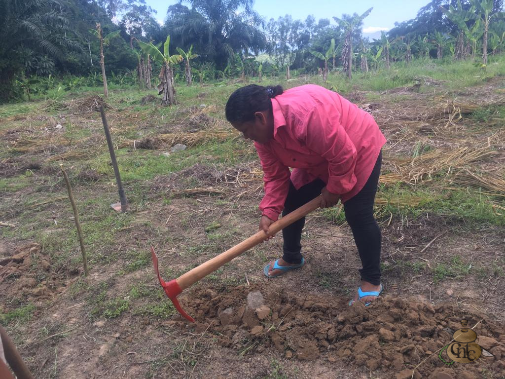 Agroecología